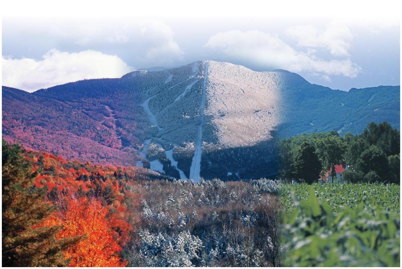 Smugglers' Notch Resort Private Suites Cambridge 外观 照片