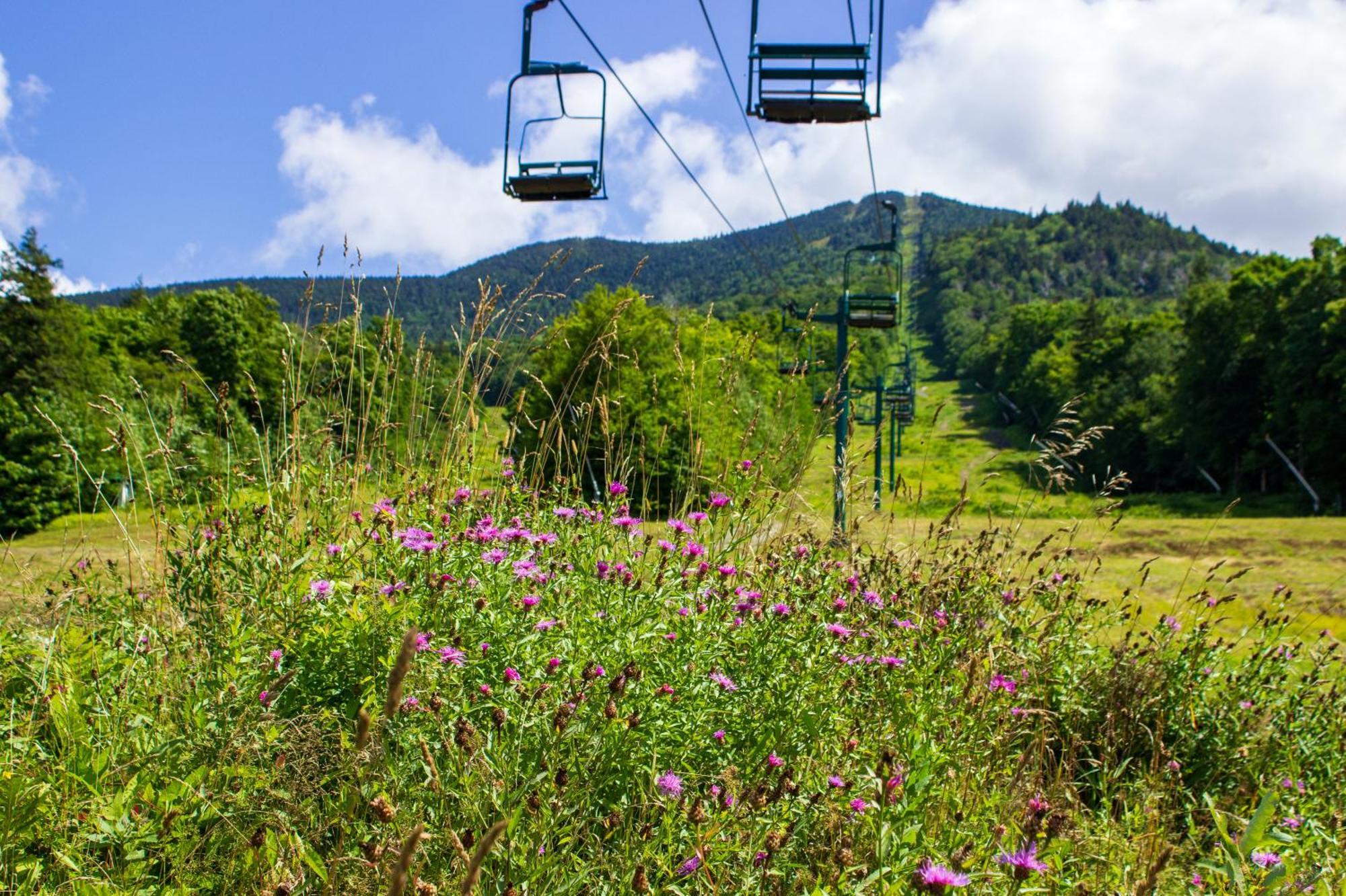 Smugglers' Notch Resort Private Suites Cambridge 外观 照片